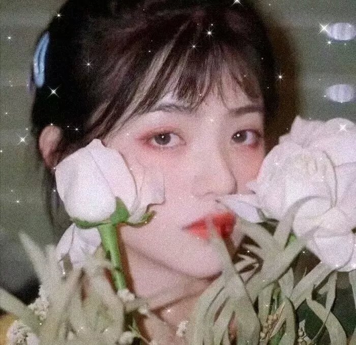 蜜月氹氹转